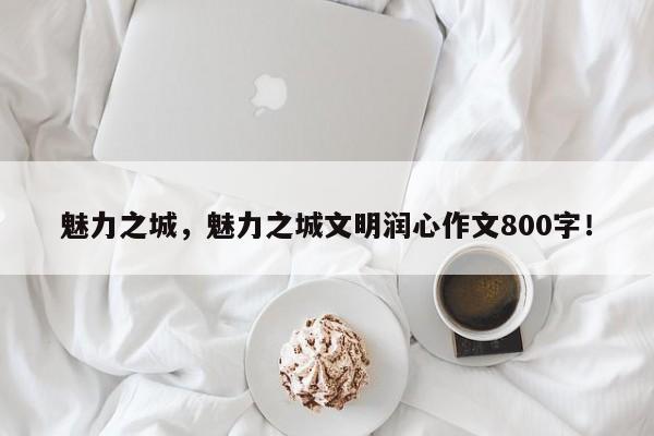 魅力之城，魅力之城文明润心作文800字！