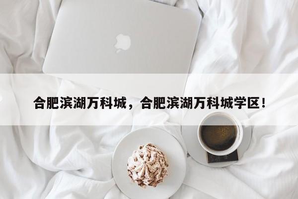 合肥滨湖万科城，合肥滨湖万科城学区！