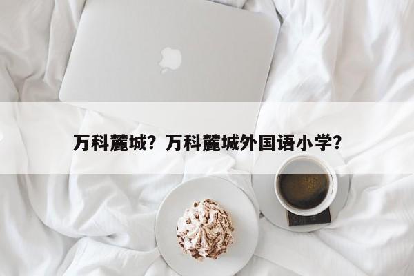 万科麓城？万科麓城外国语小学？