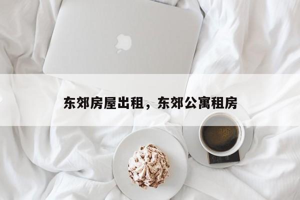 东郊房屋出租，东郊公寓租房